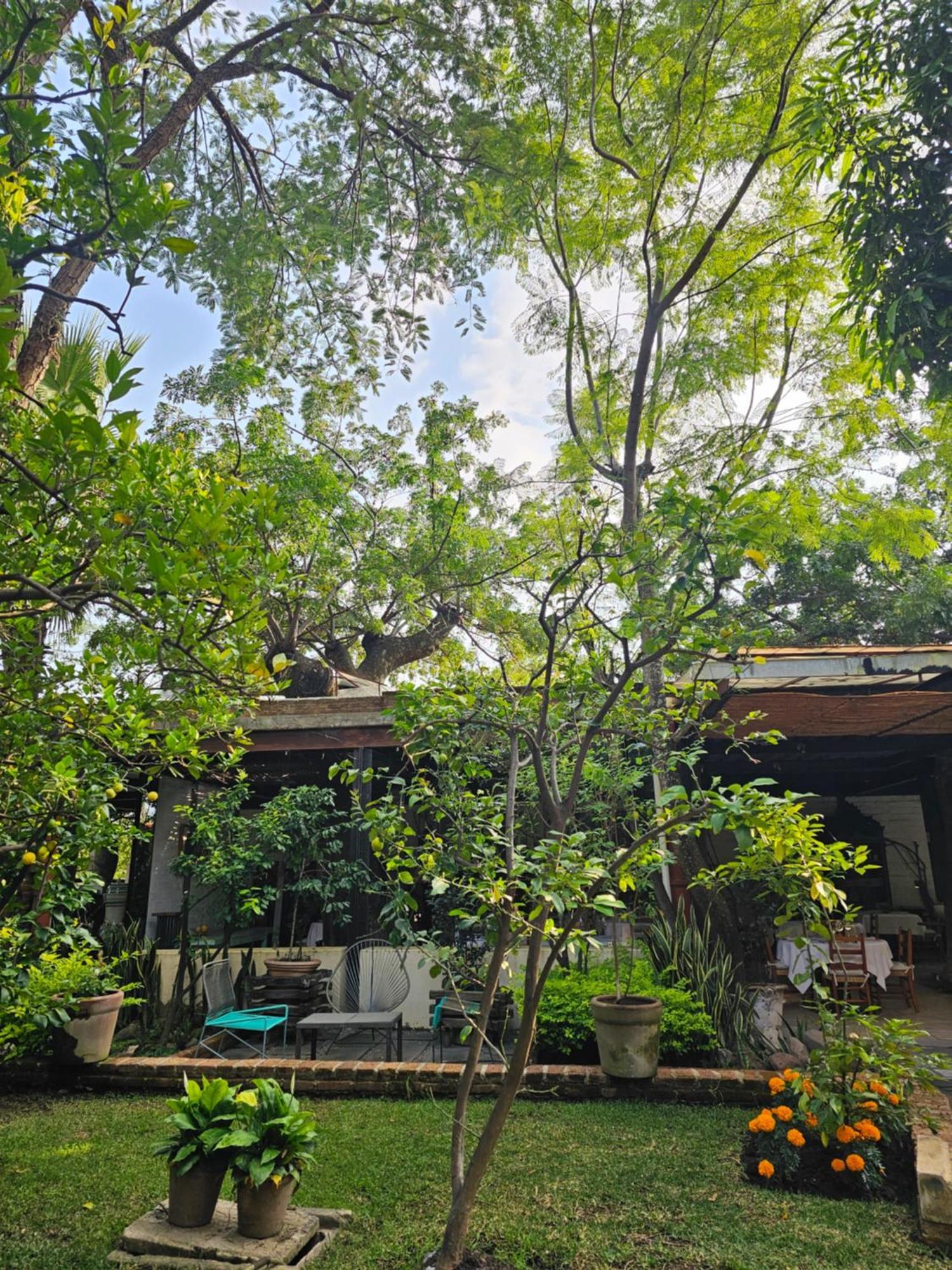 Casa Limon Malinalco Hotel ภายนอก รูปภาพ