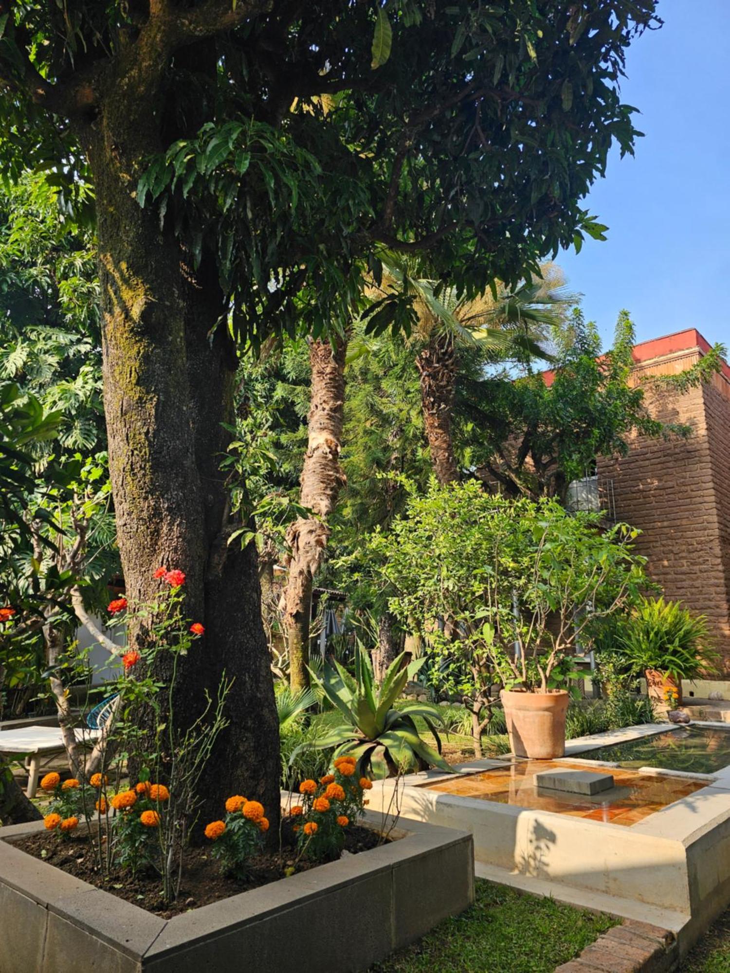 Casa Limon Malinalco Hotel ภายนอก รูปภาพ