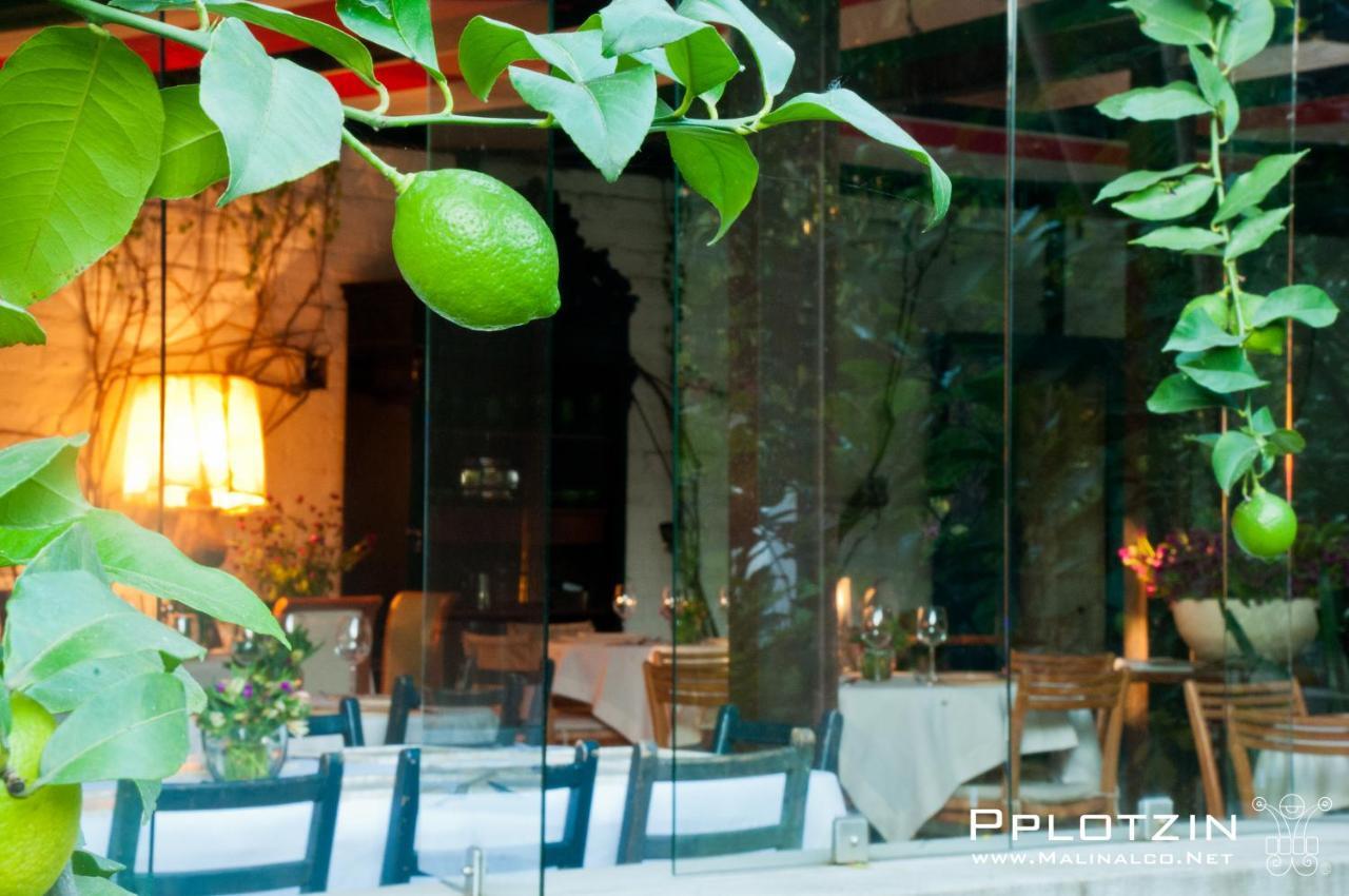 Casa Limon Malinalco Hotel ภายนอก รูปภาพ